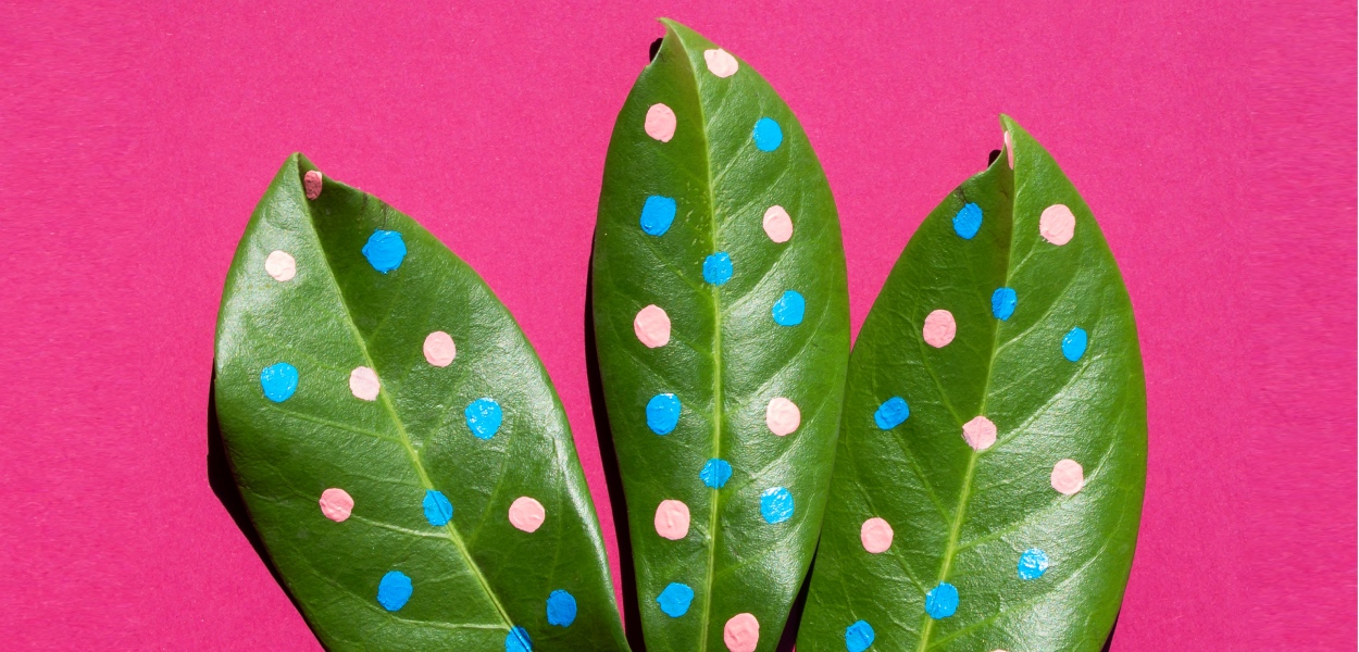 Leia mais sobre o artigo Empresa verde: o que é, benefícios e como colocar em prática